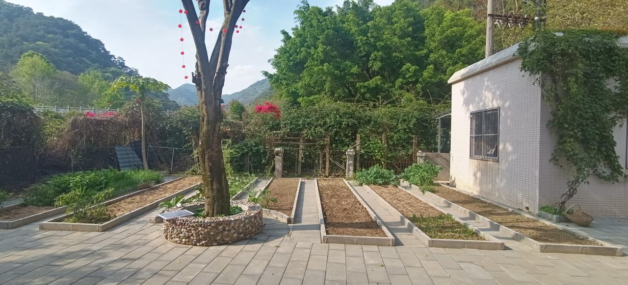 身家过亿的退伍老兵，在庭院整了一小块“怀旧菜地”，竟然投资十几万，简直就是“天价