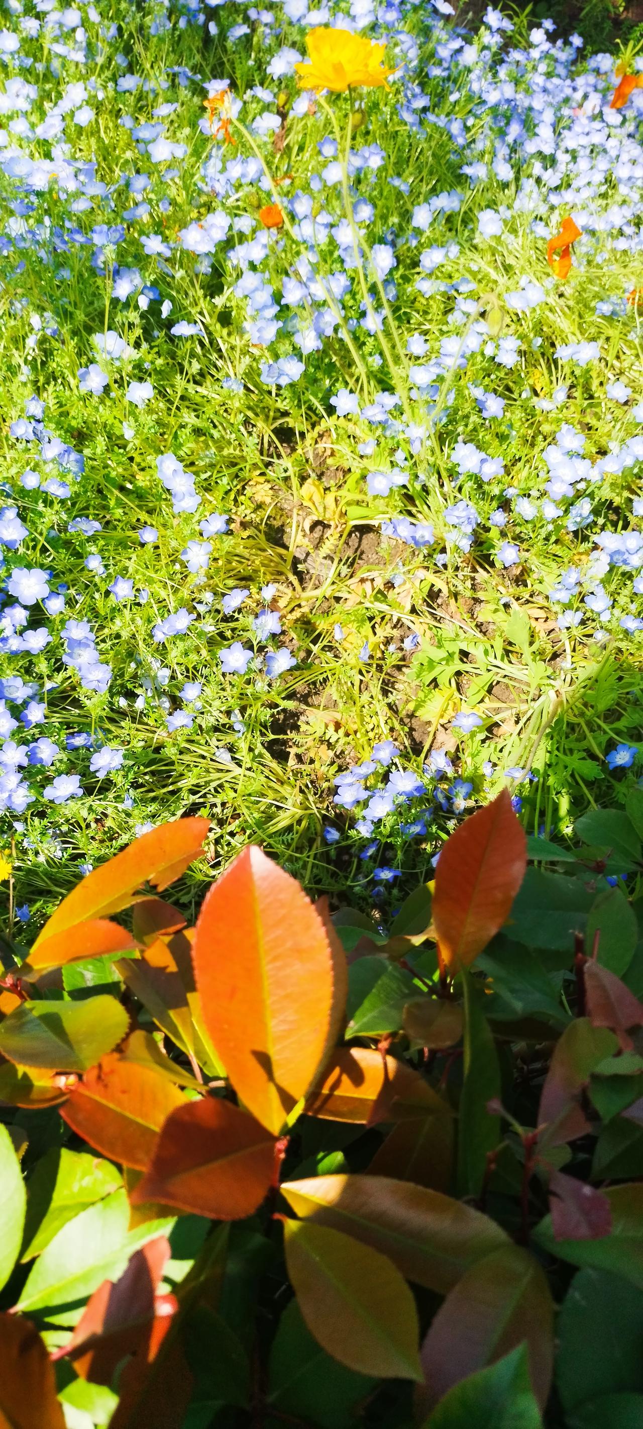 癌症好起来一定是靠调+养
中晚期卵巢癌康复8年 
我的感悟与反思 
治疗适可而止