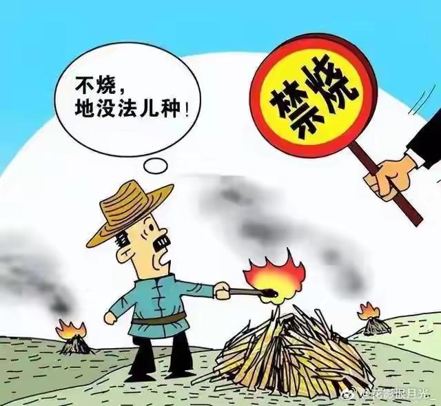 焚烧秸秆，有利有弊，利在于农业丰收。弊在于污染问题。秸秆有效处理 秸秆管控 秸秆