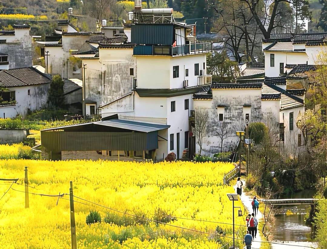 如梦令·油菜花/郭兴华
陌上金花盈目，风舞香飘如簇。蜂蝶绕枝忙，惹动春情千斛。凝