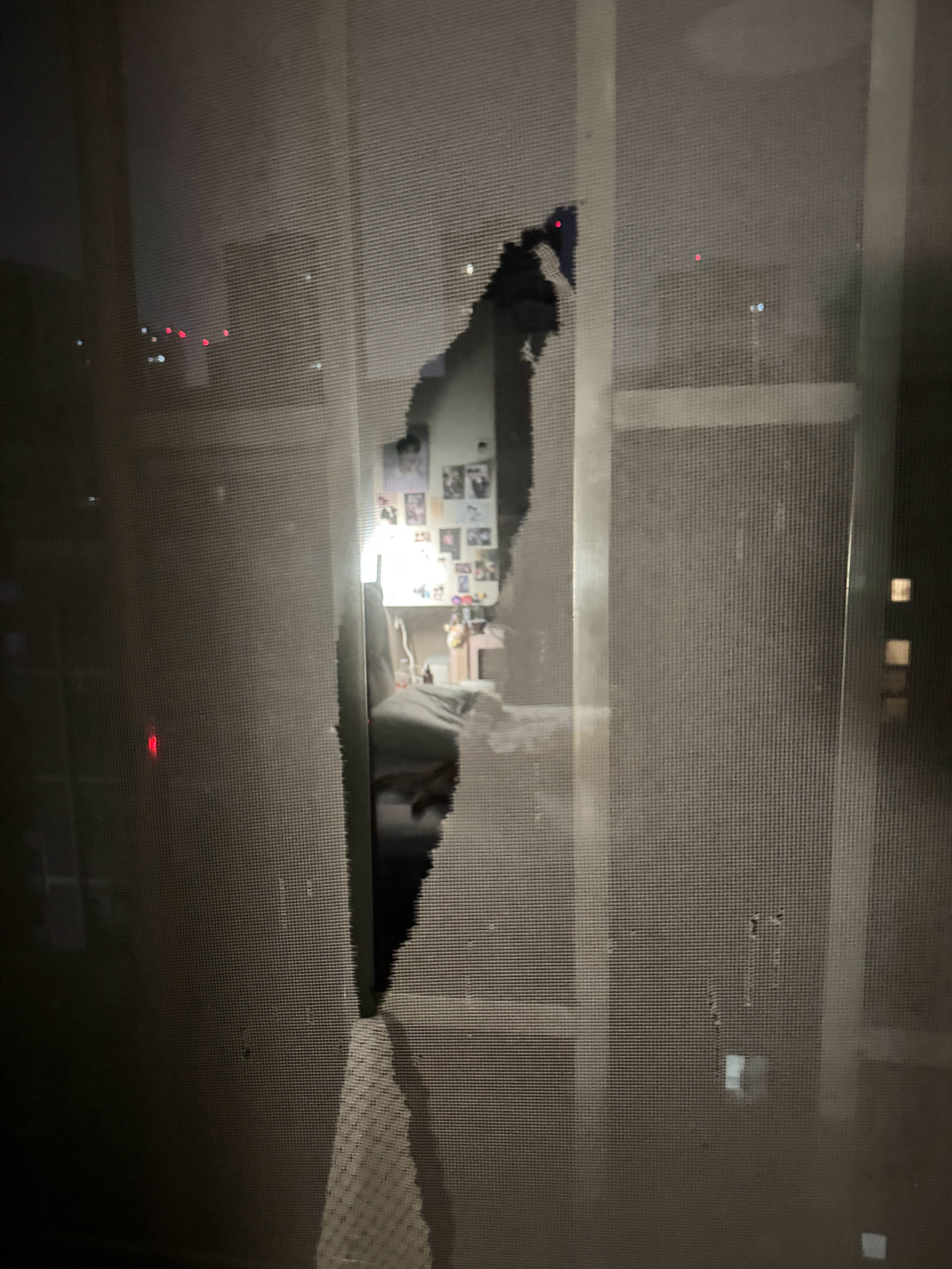 ……来开窗户……下午还好好的，这……肯定是小橘干的！！！ 
