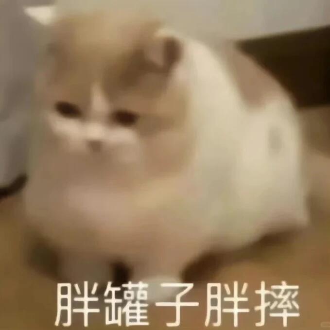 十年前的裤子vs现在的裤子去年的裤子也瘦了