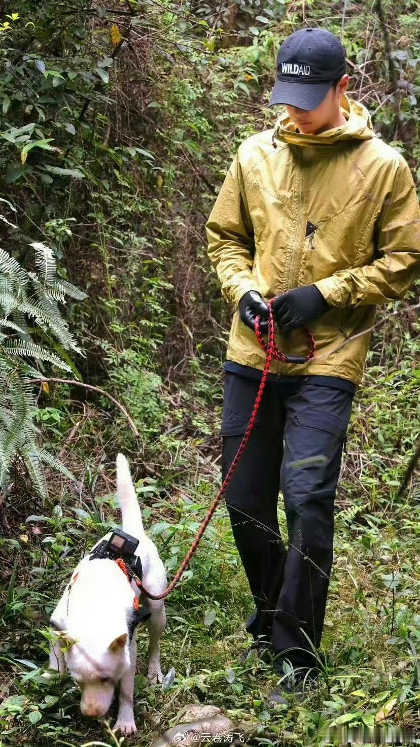 牛啊 作为野生救援公益大使王一博 亲自参与到保护穿山甲的活动中 并通过纪录片让我