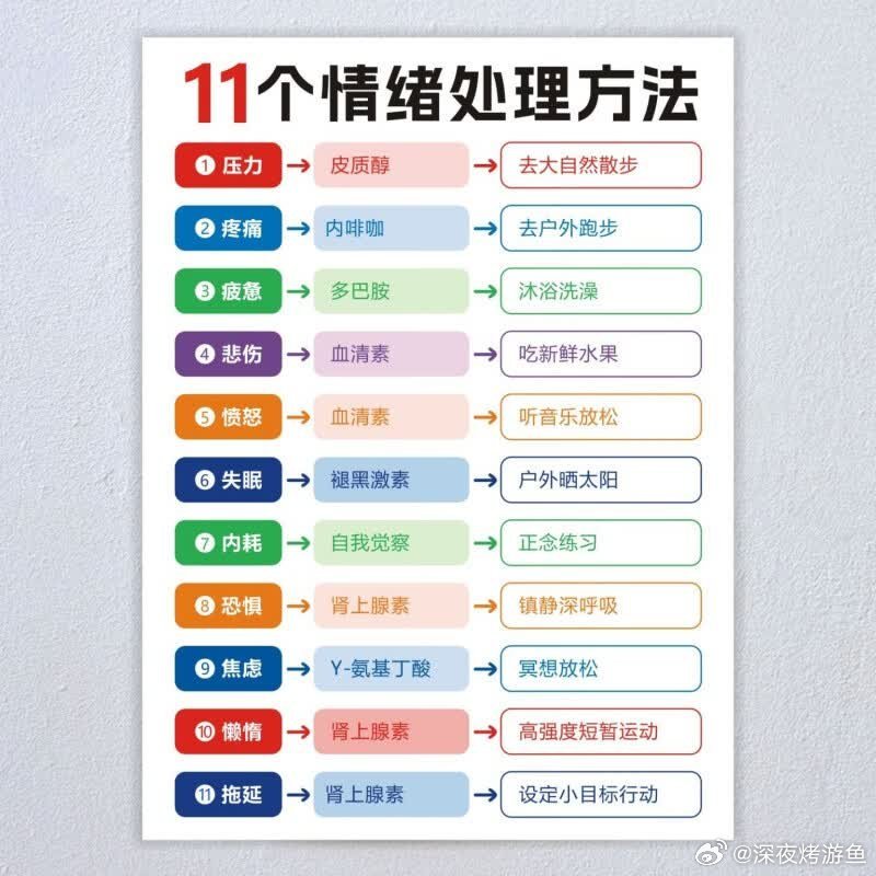 2026年7月4日。今天的三年记录和分享是《11个情绪处理方法》。觉得不错。到时