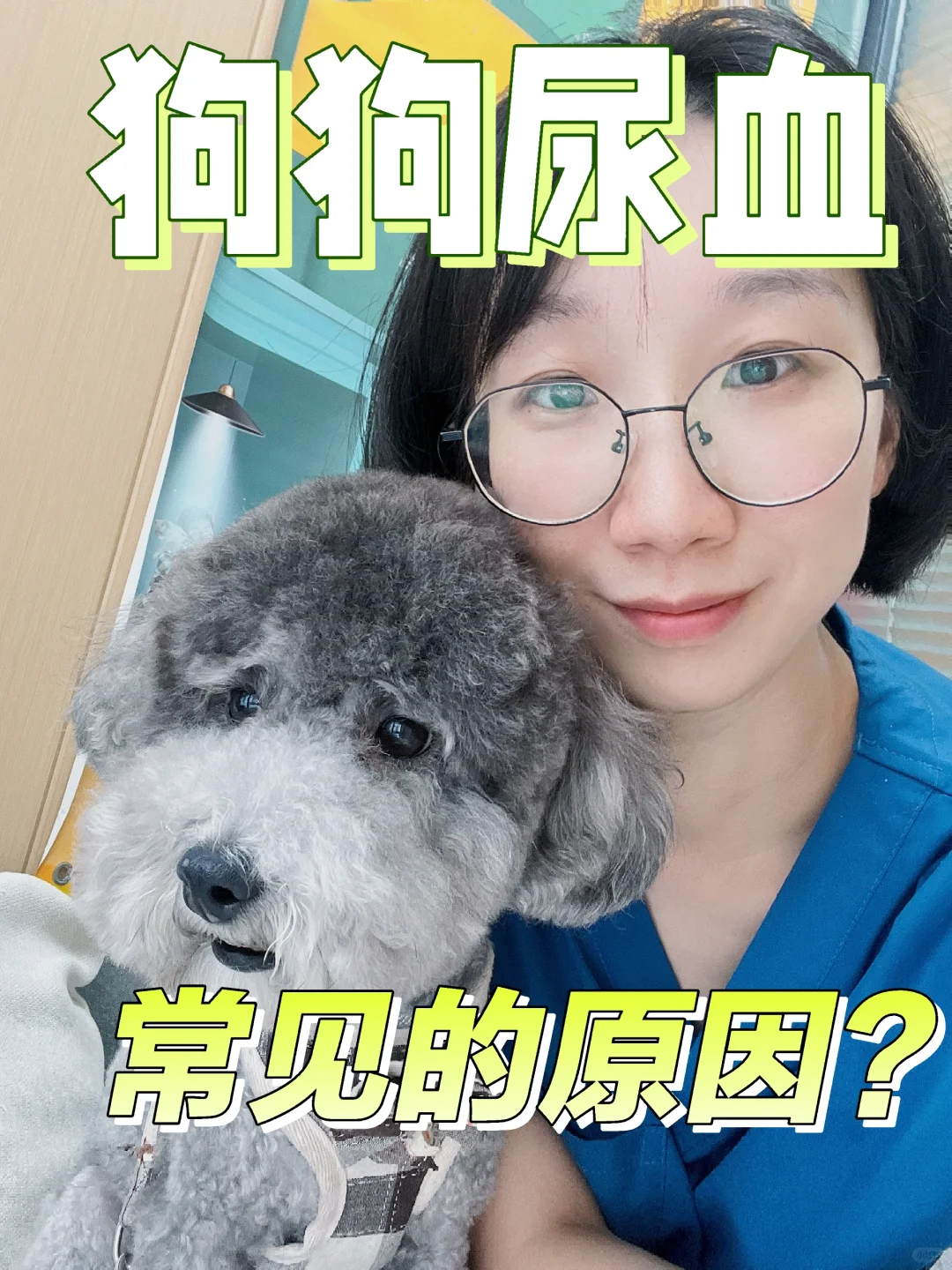 狗狗尿血的常见原因都有哪些？