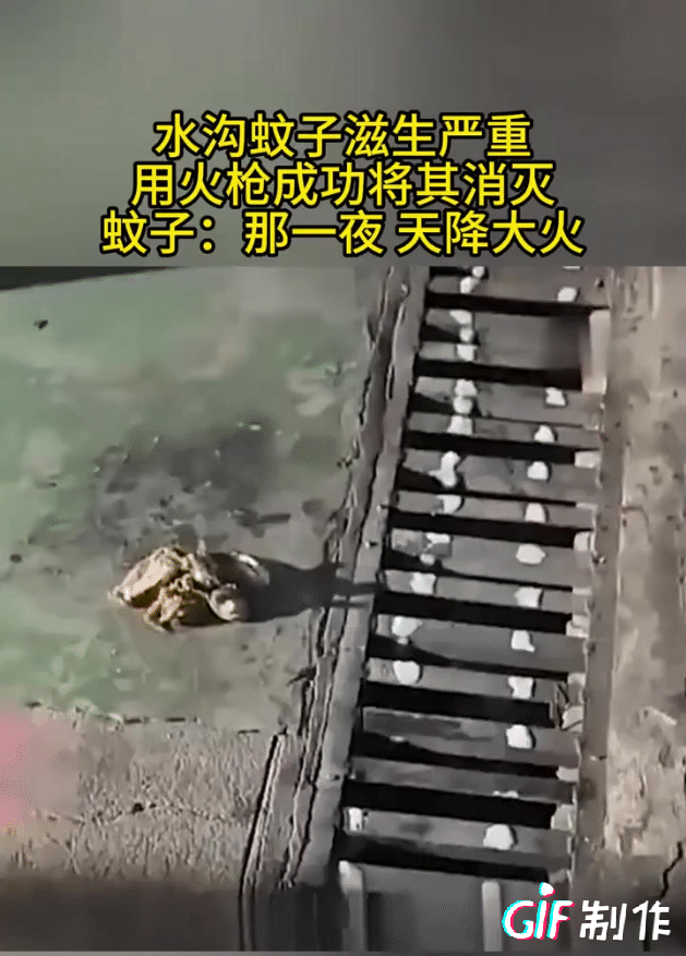 初夏是各地蚊子爆发繁殖的关键期，在防治蚊子的思路上能不能少用物理手段，这样出工出