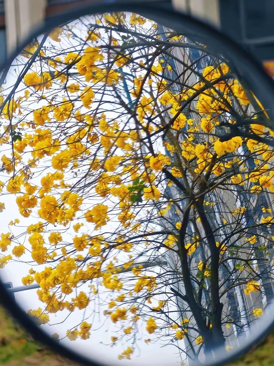 昨天晚上，发小打来电话，说自己失业了，想借3万块钱，被我拒绝了。
我俩已经很久没