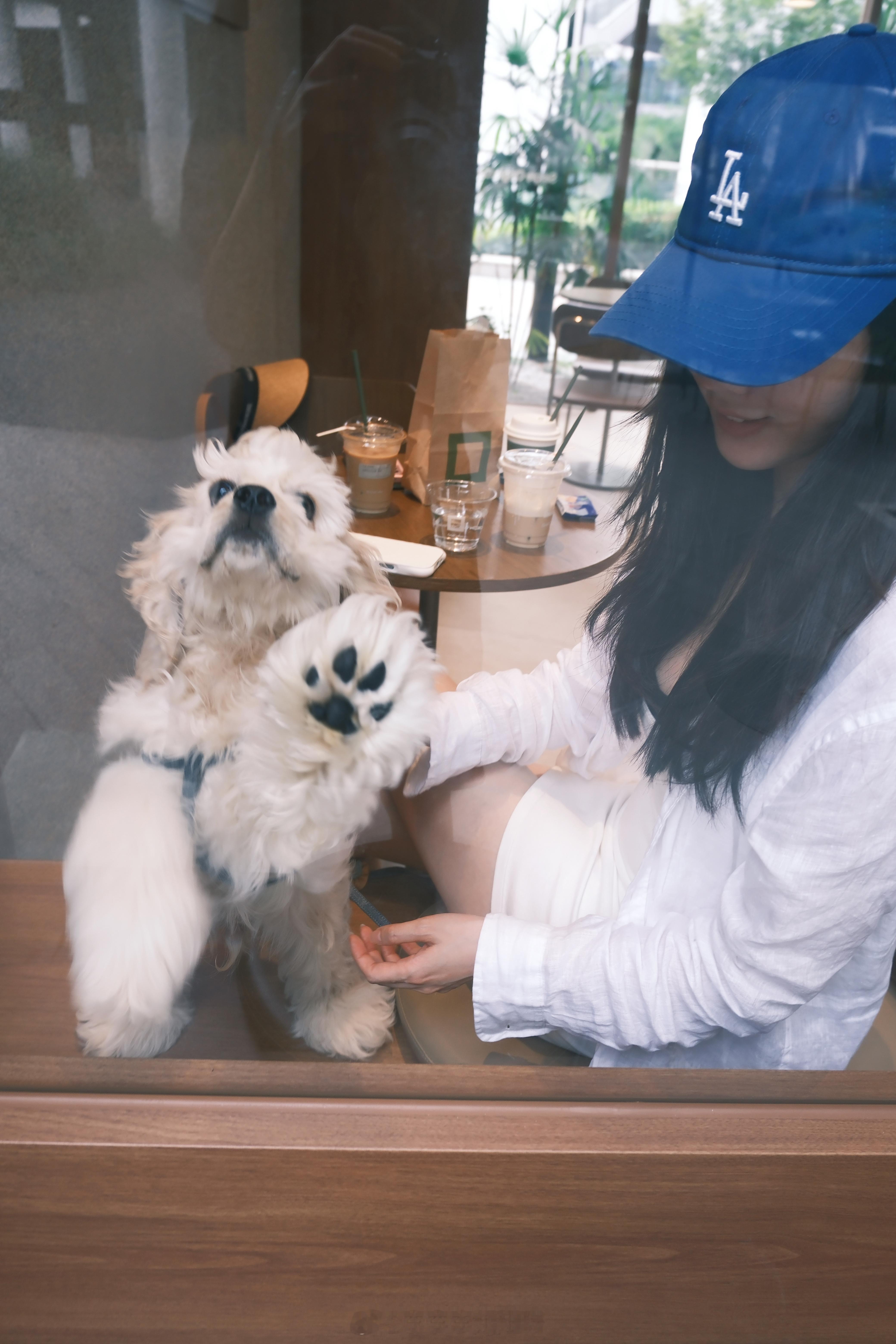 开心小狗🐶 ​​​