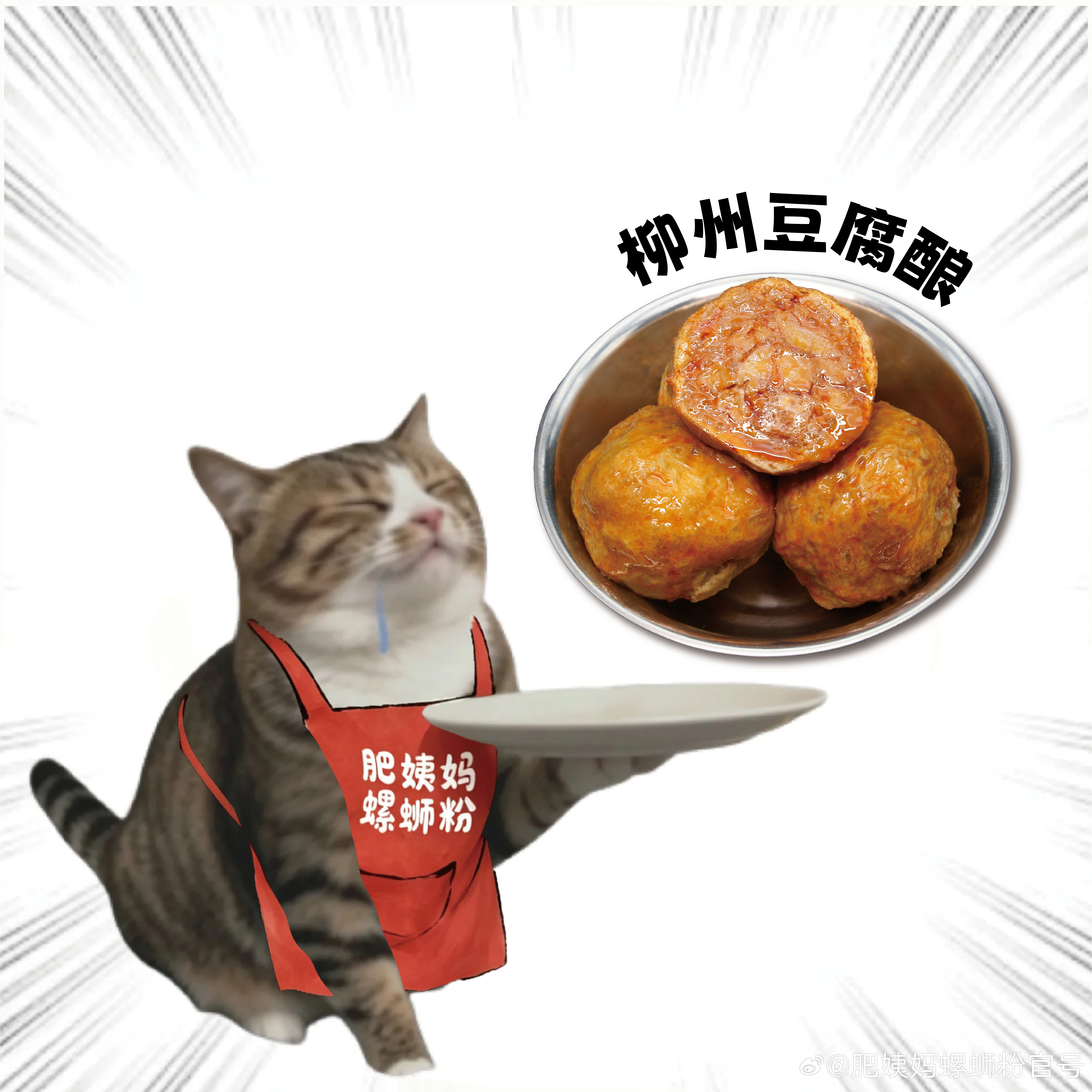 接住！！猫猫给你推荐肥姨妈螺蛳粉吃什么！😍鲜爽美味肥姨妈螺蛳粉😋Q弹手打牛肉
