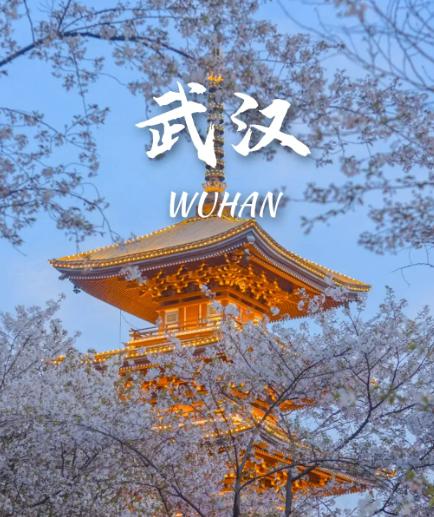 五一假期，樱花季已经跟日本无关了，现在日本终于慌了，因为中国旅客正在用脚投票将飞