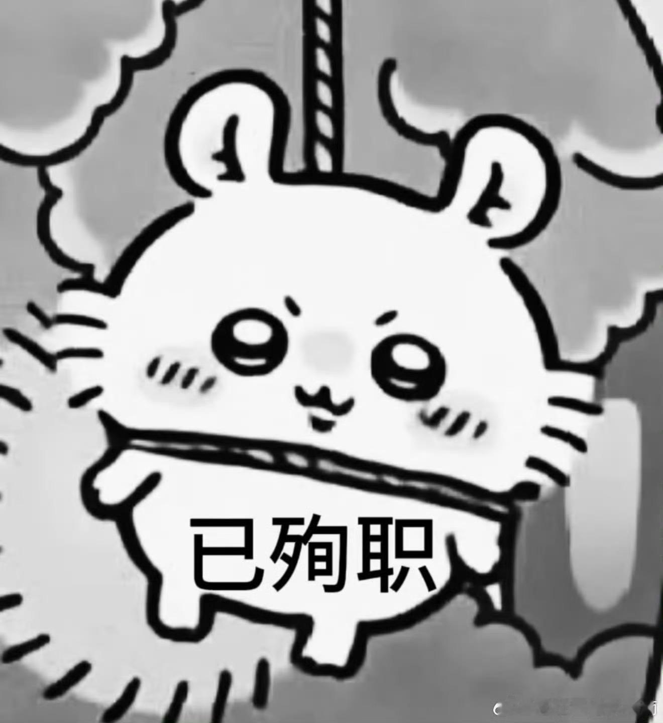 半夜发文真情实感一下我发现我这人看小说咋这么奇怪呢，我每次看作者的小说喜欢上的都
