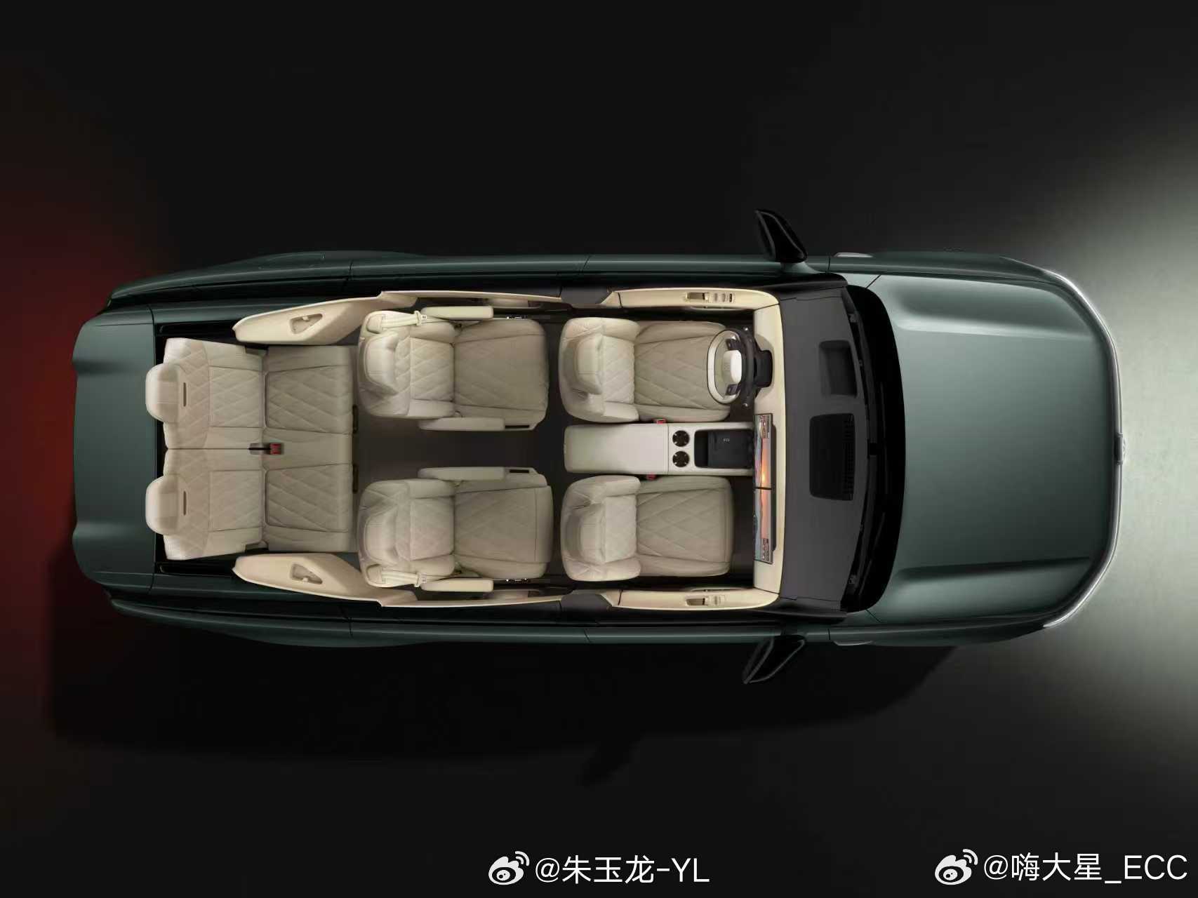 上汽大众 9X 的第二款颜色 —— 仙踪绿觉得黑白太普通的，可以考虑这颜色，典雅