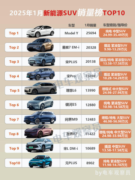 2025年度新能源轿车+SUV销量Top10