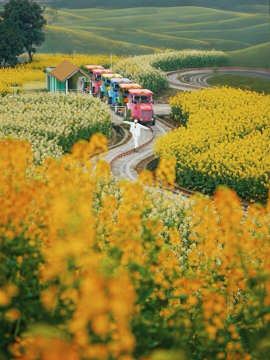 迄今为止，我最喜欢的春日小城出现了！！