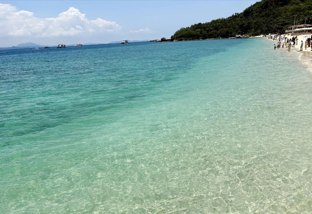 夏日生活打卡季 夏日真是个让人又爱又恨的季节！爱它是因为可以尽情享受各种清凉美食