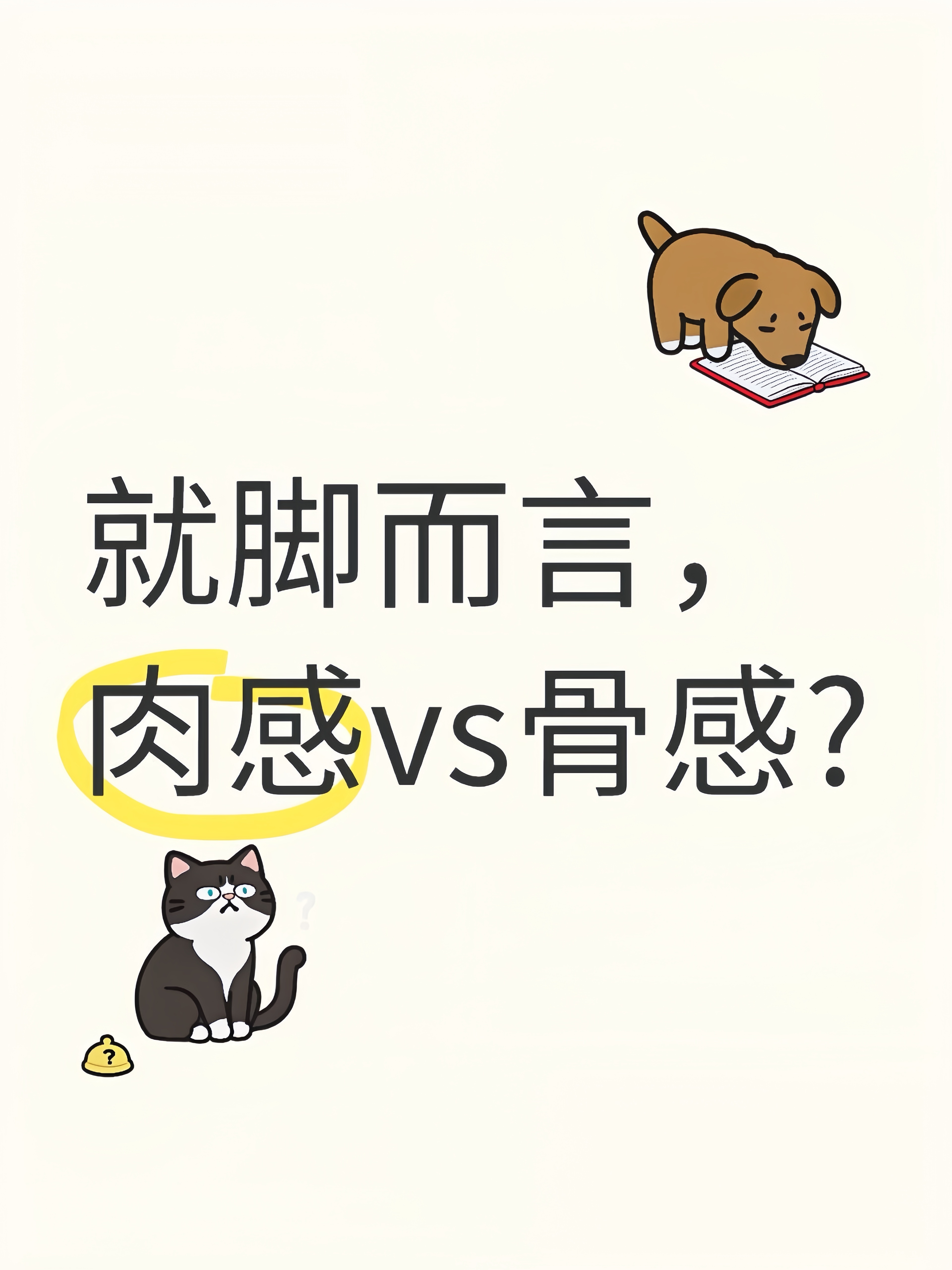 谁更受欢迎？ ​​​