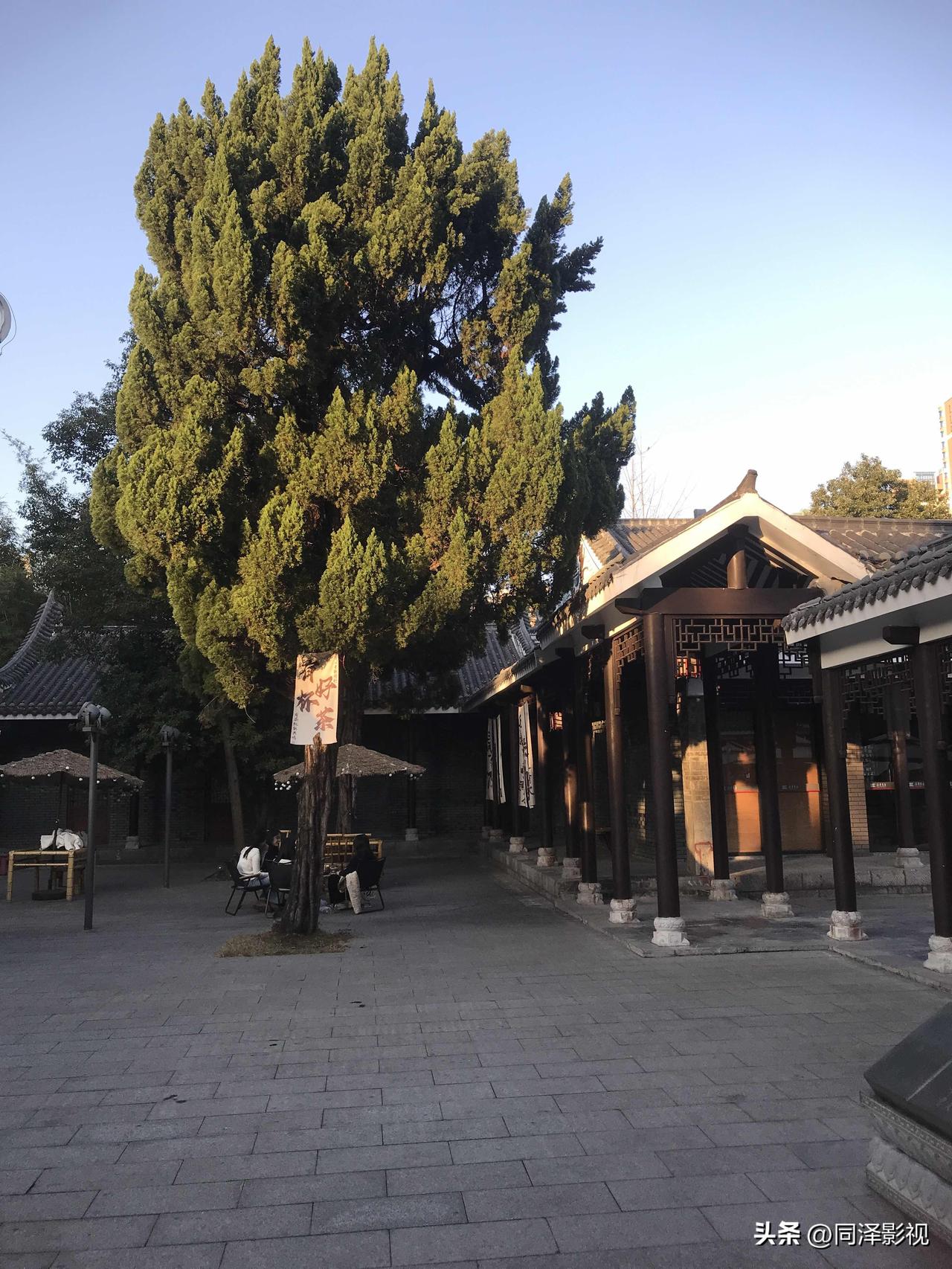 跟几个老姐妹唠家常，说起各家儿媳妇，居然都像一个模子刻出来的。

自己打扮得清清