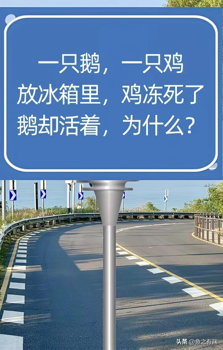 鸡和鹅放在冰箱里，鸡冻死了，大鹅活得好好的，这应该是羽绒服广告的最佳表达方式了！