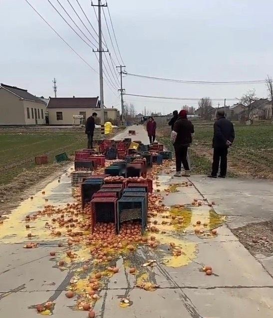 人能闯多大祸，这可咋整？ 