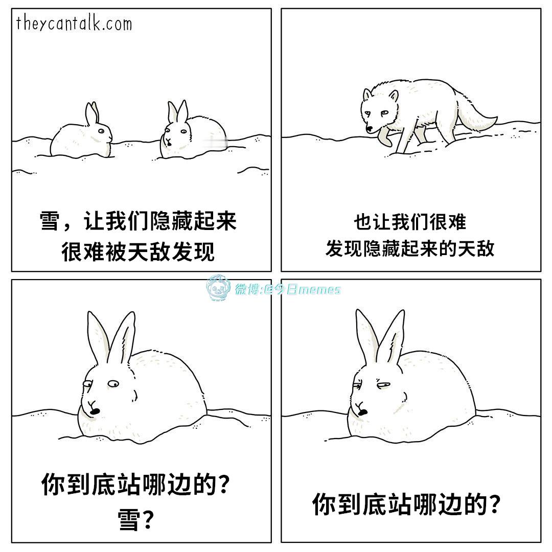 做的两门生意（theycantalk）今日meme 今日memes