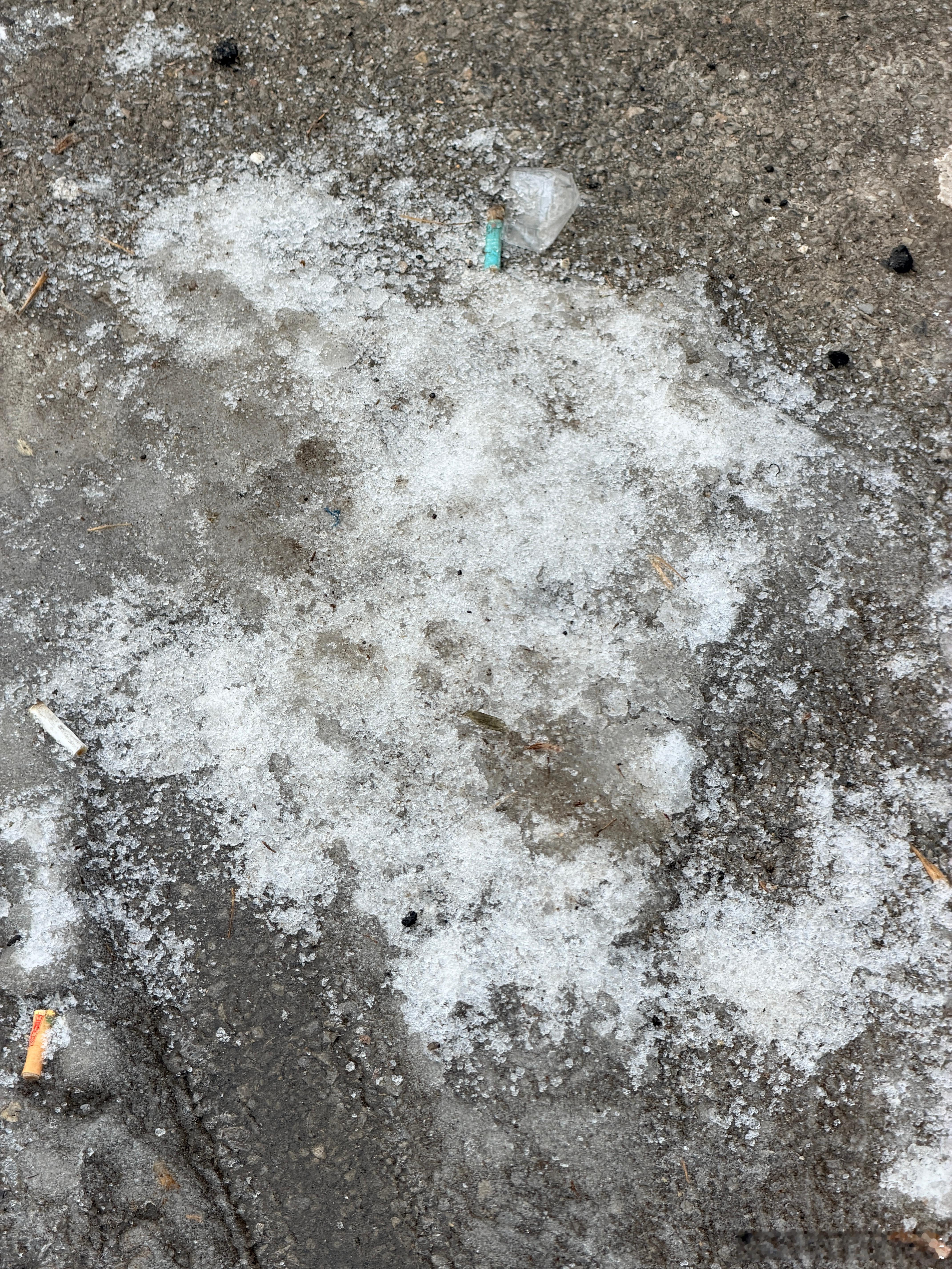 来北京看到雪啦！