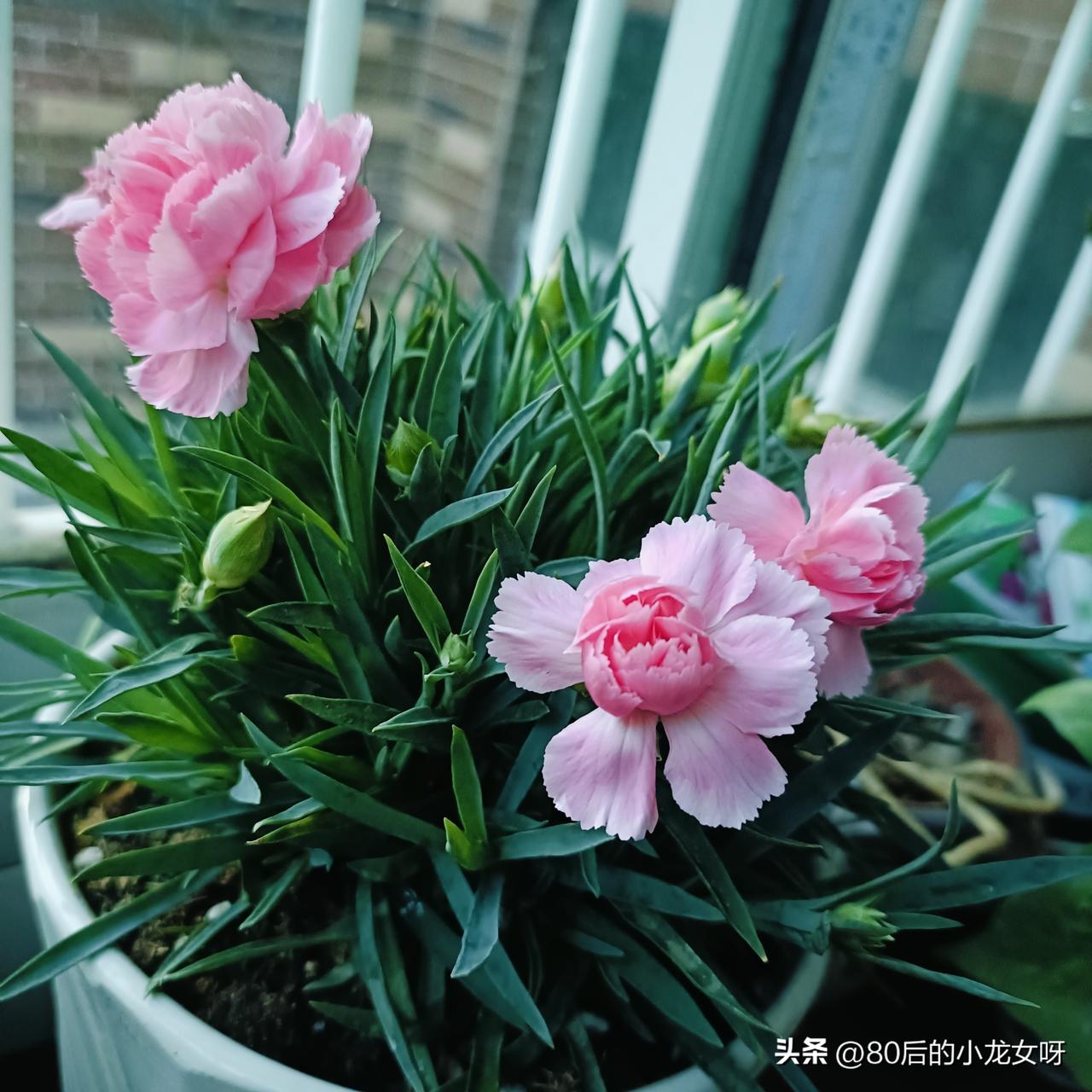 放弃了交际圈，我反而过得更好了，内心平静且坦然。

现在的我没有任何交际，上班是