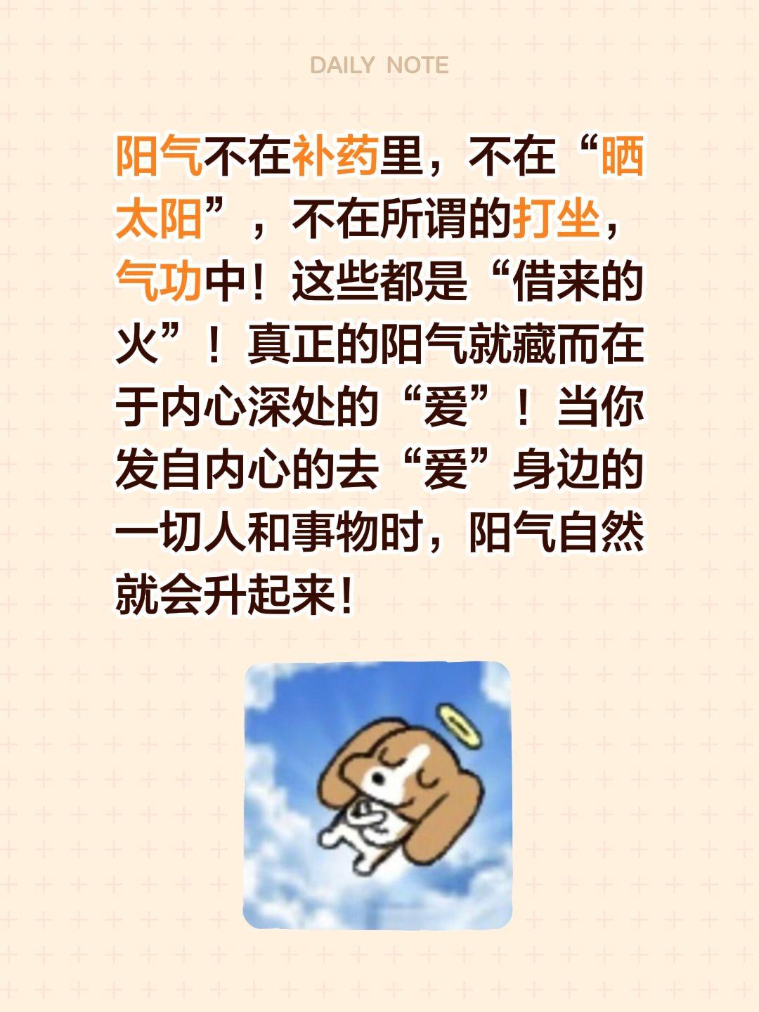阳气不在补药里，不在“晒太阳”，不在所谓的打坐，气功中！这些都是“借来的火”！真