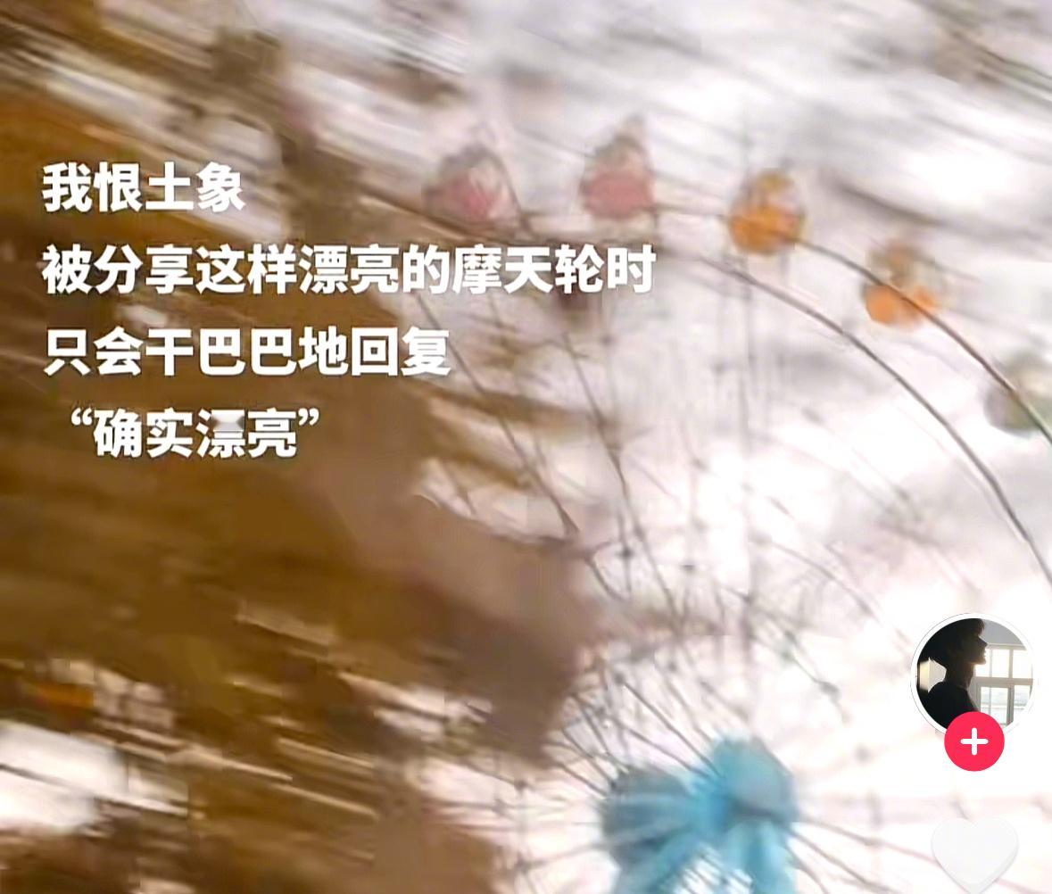 那我怎么说？哦我的上帝啊，亲爱的朋友，你瞧瞧，这摩天轮拍的简直无法用文字描绘出它