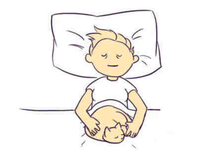 治愈一切的猫咪！！！