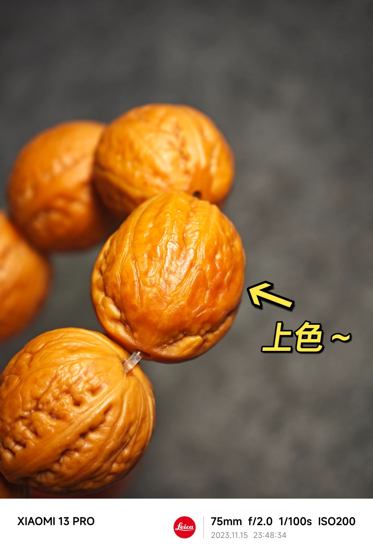 NO.310 嘿这小核桃上色真快