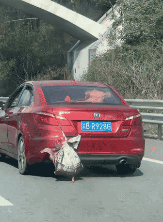 鸭子：你们坐车回家的，我走回来的，等会还要上桌子！ 