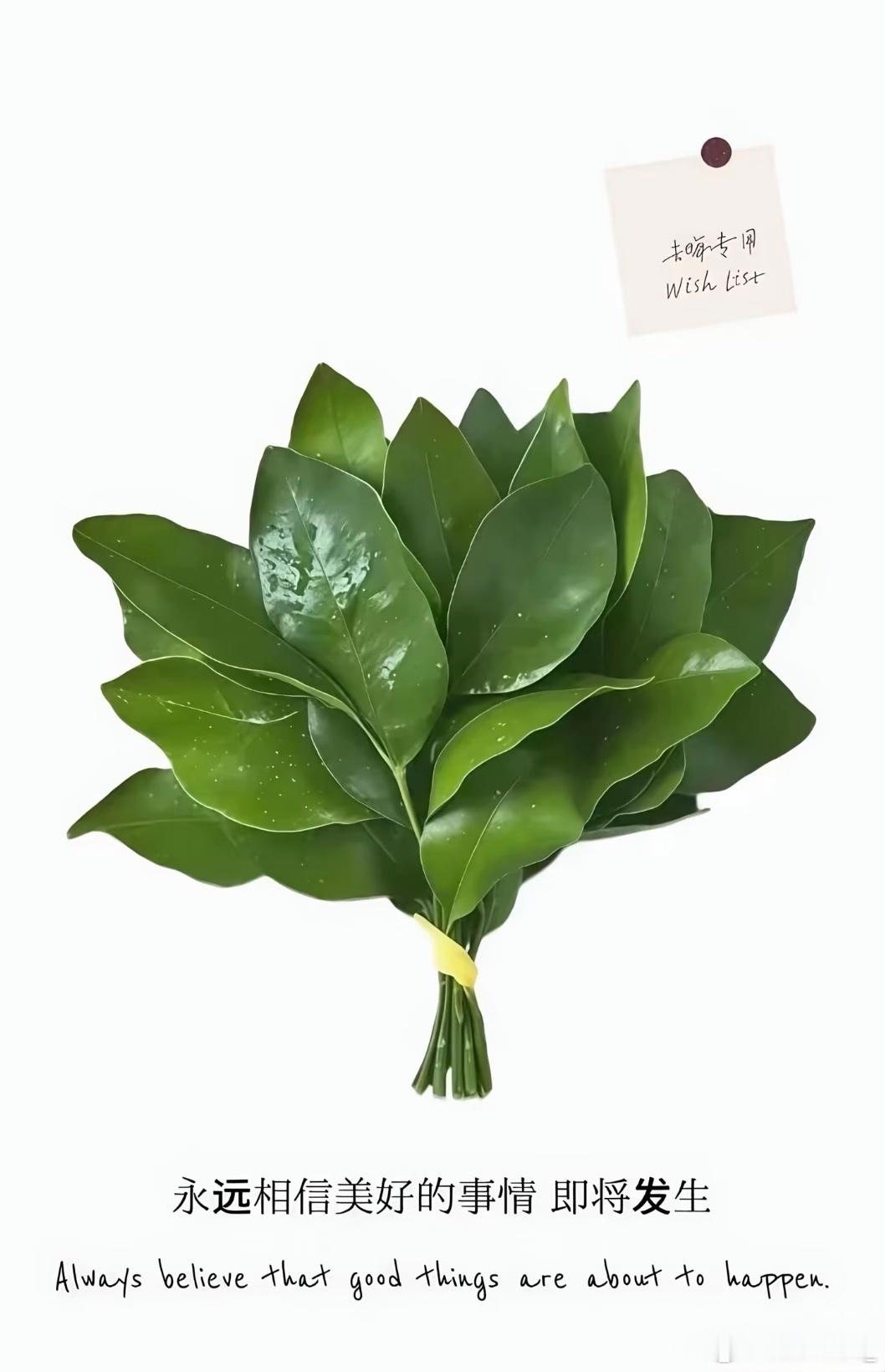 量体温 摔碎了温度计  浇花 打碎了花盆淘宝闪送 骑手态度恶劣不给送上门悲催的一