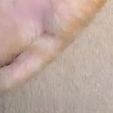 善良是一种修养，善待他人就是善待自己，要想得到别人的爱，首先要学会爱别人，一个善
