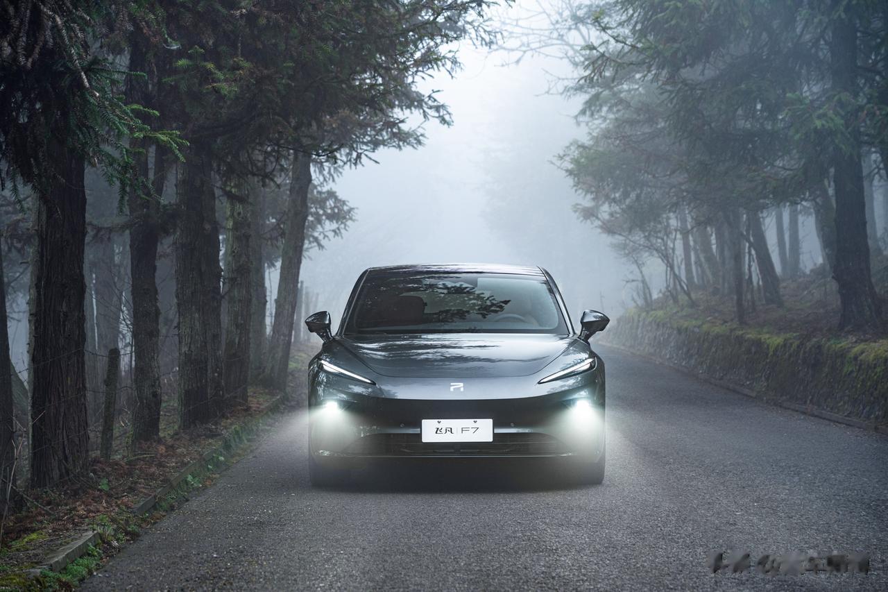 #20万级中大型电轿超值之选# 飞凡F7的外观设计具有多处独特之处！首先，其车头