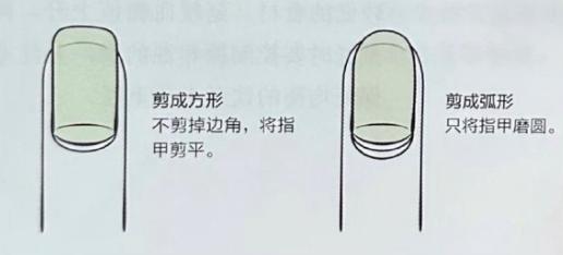 剪指甲这么多年，第一次知道要剪成“方形”的。
每次剪指甲的时候，都习惯沿着边缘线