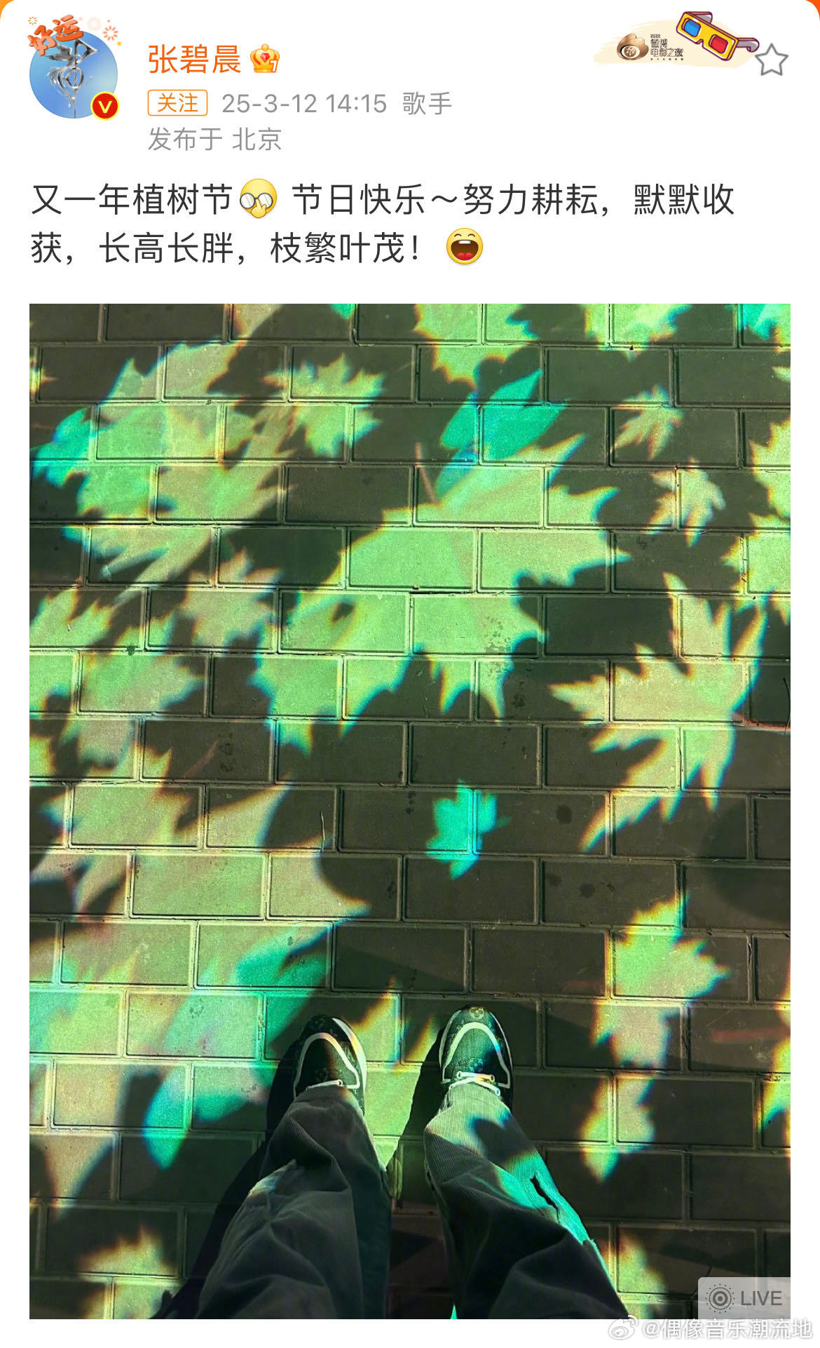 张碧晨植树节自拍全是细节 植树节自拍中，阳光在树叶间跳跃，暖煦光影满是生机。这画