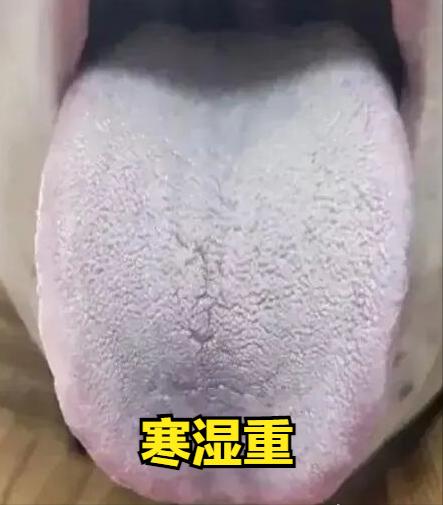 寒湿与湿热，仅30秒快速分辨！

1、看体液
湿热：体液会比较粘稠，有异味
寒湿