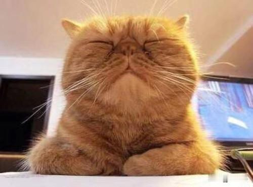 朋友们，今天长篇不更新了哈～

上午要去参加朋友的婚礼，得早去帮忙朋友发喜糖。