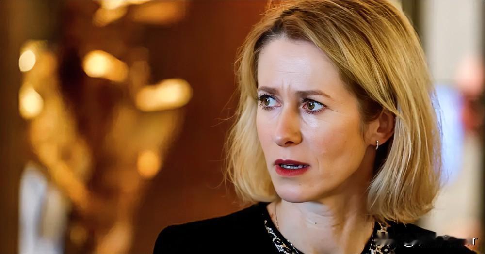 担心的事情还是发生了！欧盟外交和安全政策高级代表卡拉斯在新闻发布会上说，美国停止