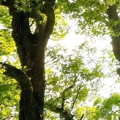 阳光信用 ☘️阳光信用 🍀每日一善人生路上，遇见善良，学会付出；遇见微笑，学会