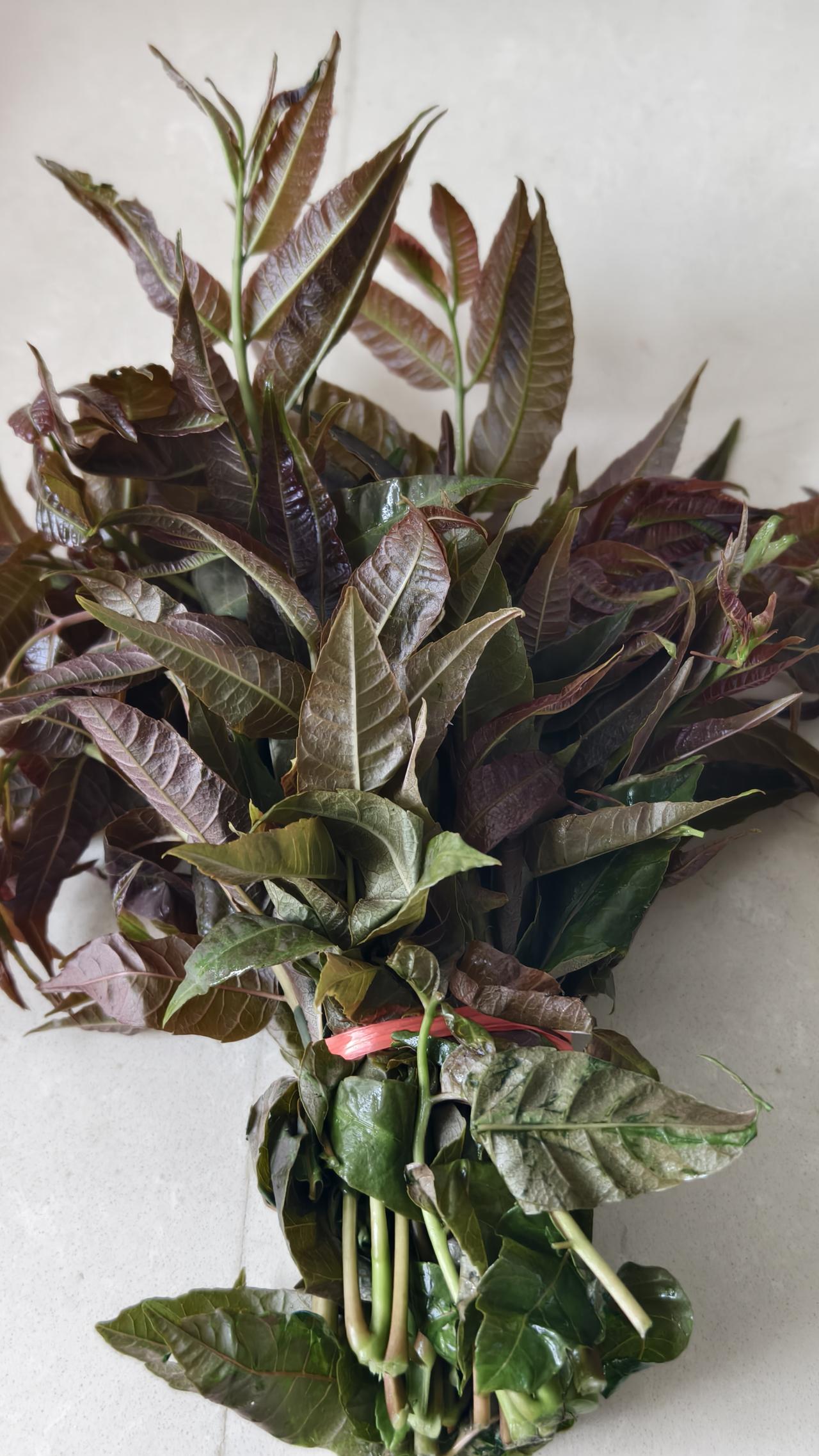 4月7日 星期日 晴
 
今天天气晴朗，阳光格外温柔。清晨醒来，空气里都是春日的