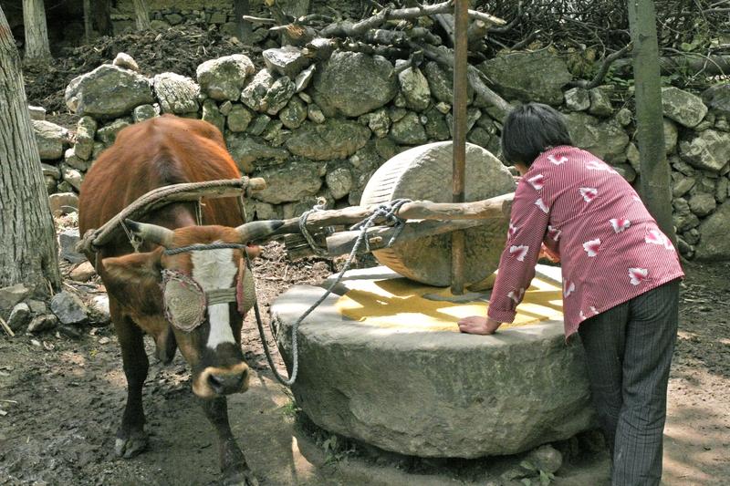 以前穷，大家却怀念，其实怀念的不是穷，而是穷里的美好。就像楼下张叔，五十八了总念