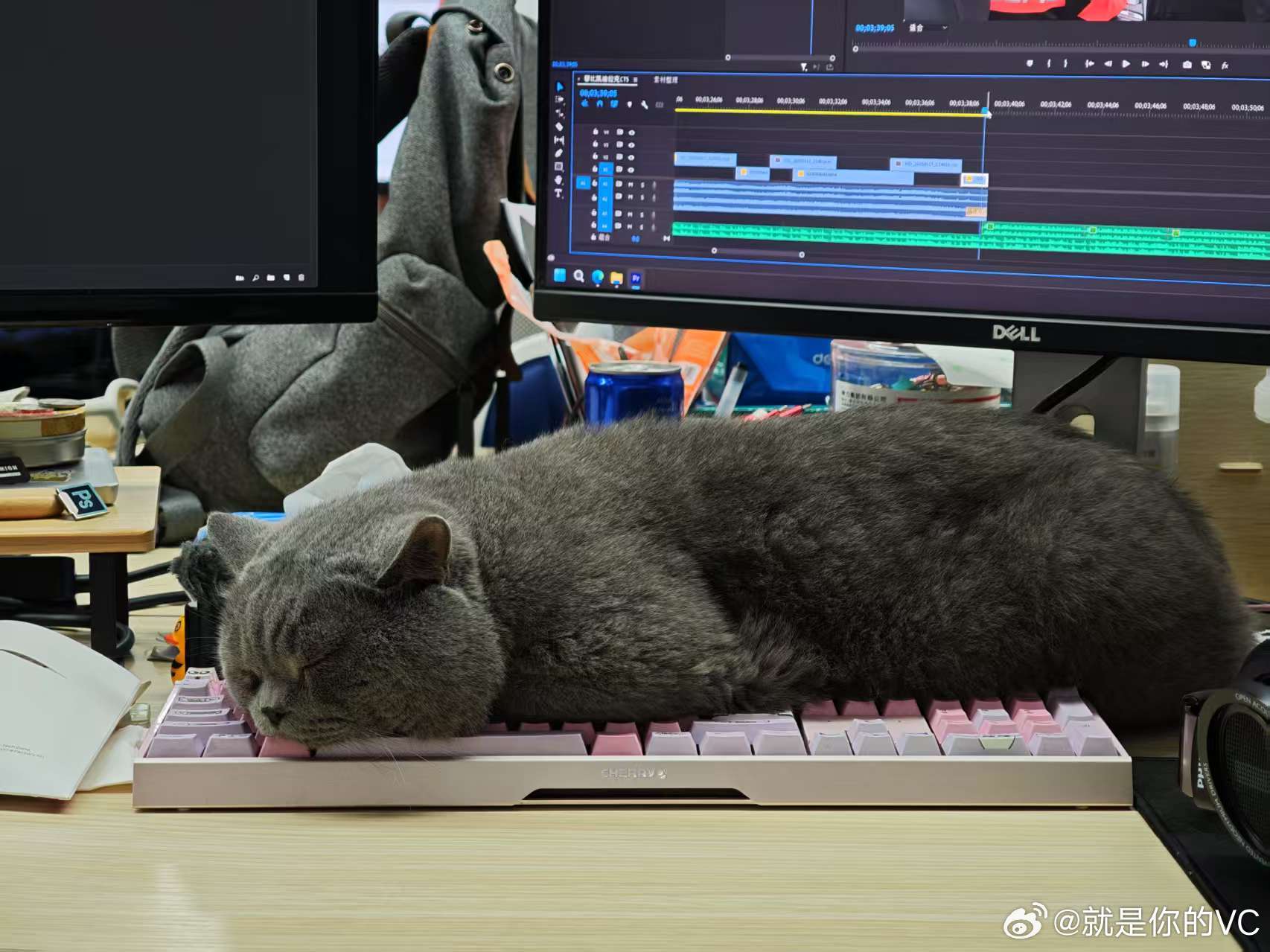 宝宝今天有点难受一看又尿闭了上麻醉最检查咯😣 ​​​