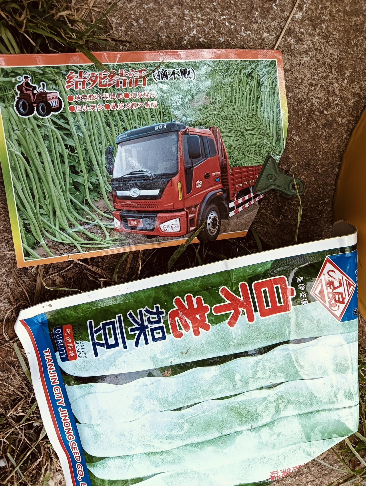 早晨五点多下地，趁凉快劳作两个钟头!
西红柿，头茬玉米，老来少芸豆完美收官!
第