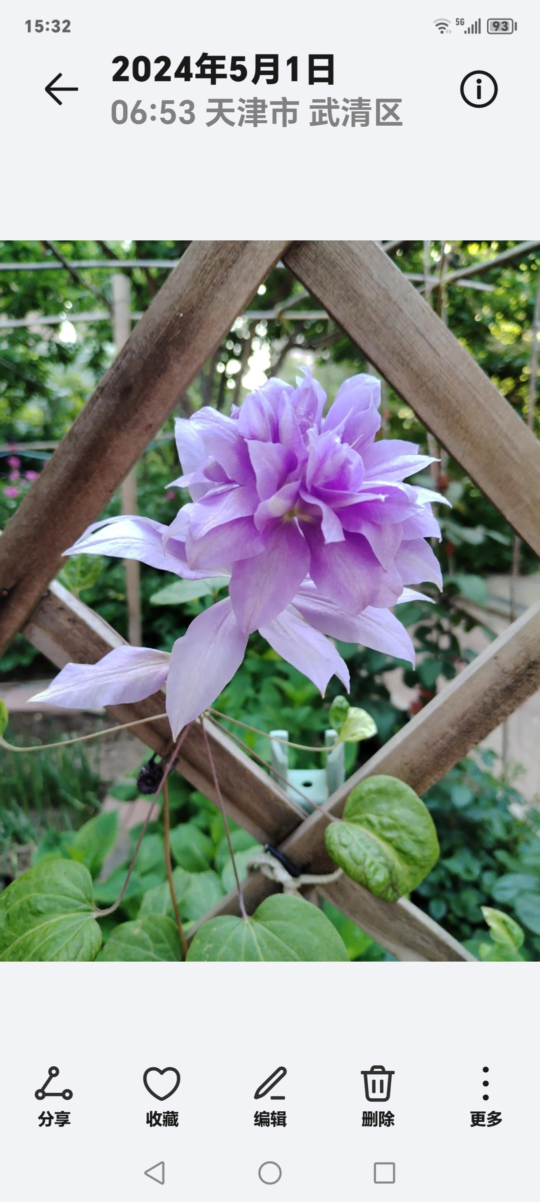 七言诗～五更心静

三尺卧室我为王，
有茶有酒有书香。
心宽体健纳日月，
五更心