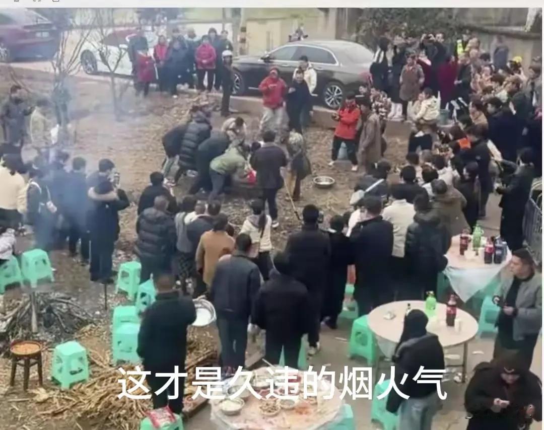 呆呆刨猪宴火遍全网，也是呆呆意想不到的，本想回家杀猪过年邀请几位友友帮忙拉猪凑热