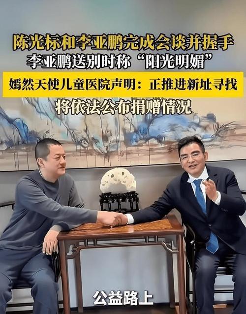 李亚鹏直播公开证实，陈光标向嫣然天使儿童医院捐赠的1000万元善款已全额到账，为