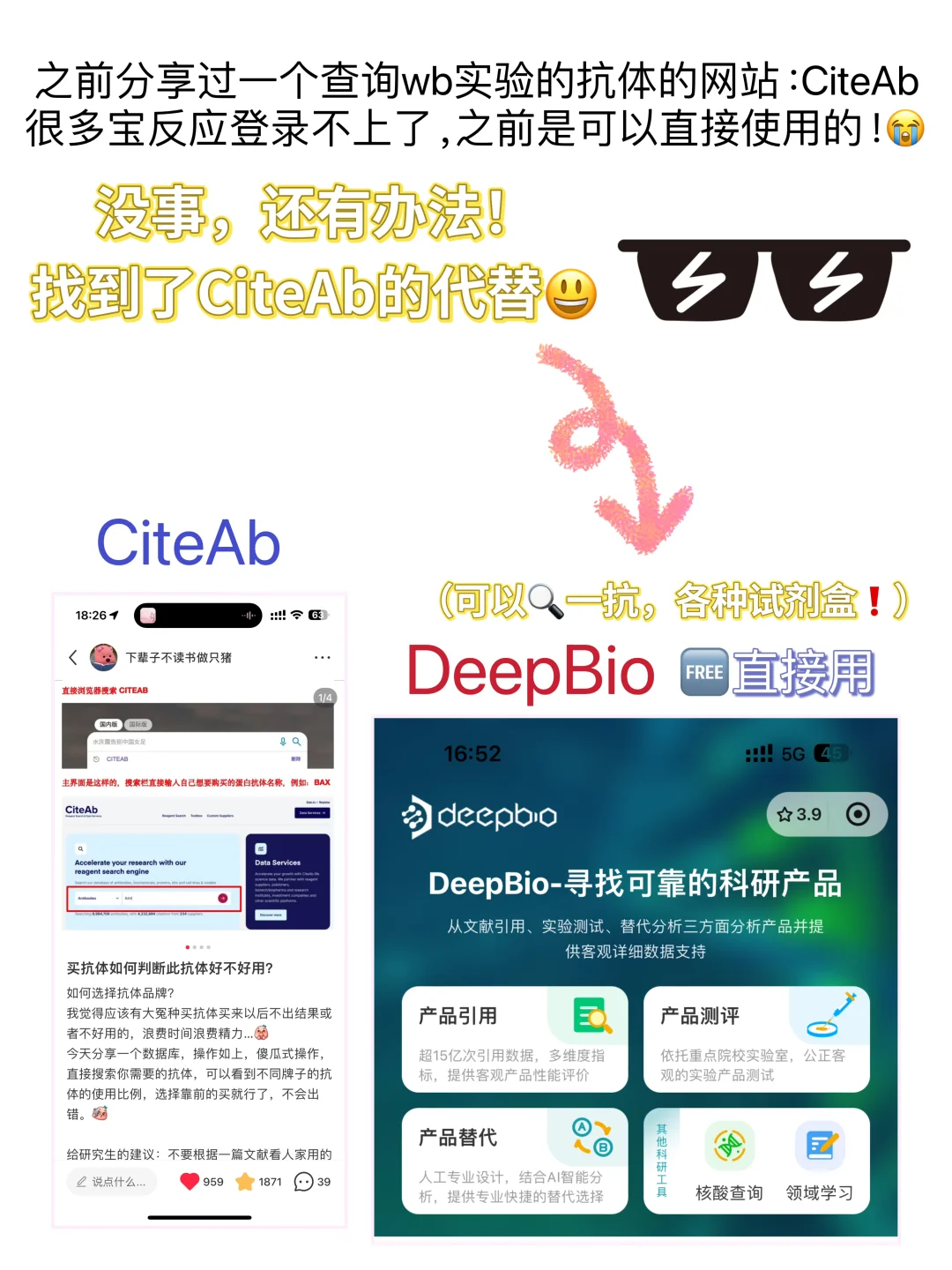 买抗体买试剂盒怎么判断好不好用❓