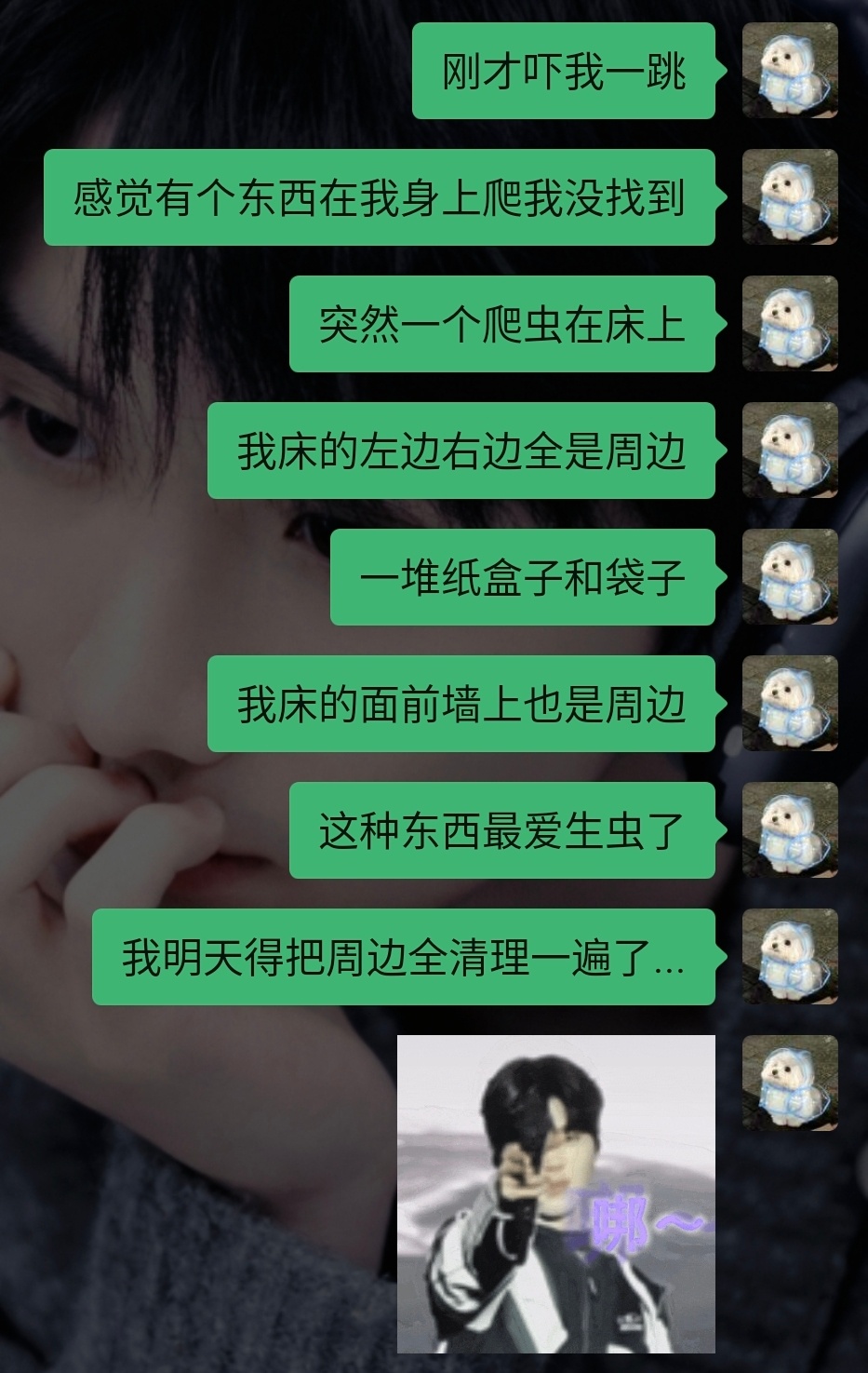 分享图片 