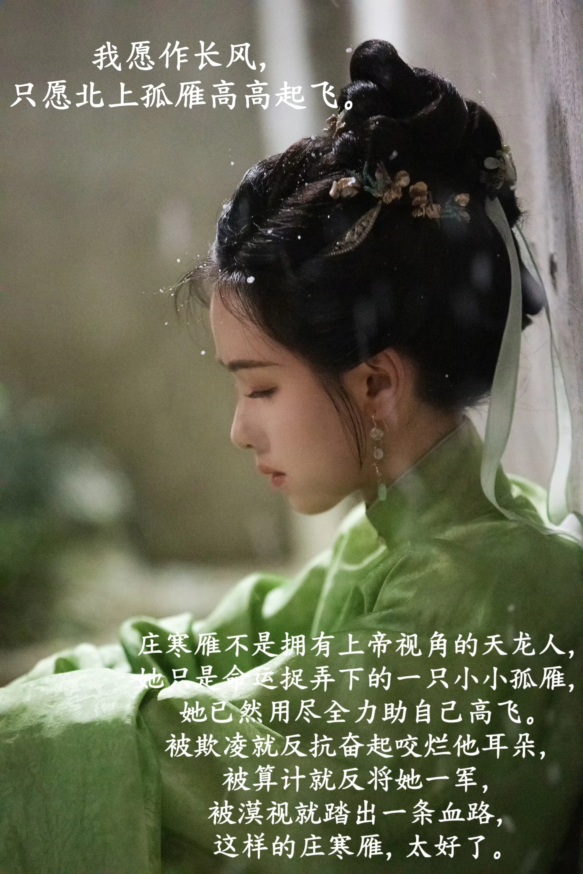 陈都灵 庄寒雁 雁回时